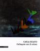 Carla Rigato. Colloquio con il colore