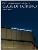 Dieci anni di acquisizioni per la GAM di Torino 1998-2008