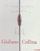Giuliano Collina. Animi domus. Ediz. italiana e inglese