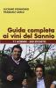 Guida completa ai vini del Sannio