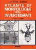 Atlante di morfologia degli invertebrati