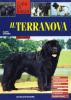 Terranova