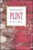 Plint. Il piccolo libro degli interstizi