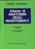 Atlante di anatomia degli invertebrati
