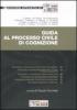 Guida al processo civile di cognizione