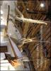 Museo della civilt� contadina Valle dell'Aniene. Catalogo