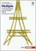 Multiple cours de fran�ais pour les �l�ves italiens. Livre de l'�l�ve-Cahier des exercices-Memento grammaticale. Con espansione online. Per la Scuola media vol.1