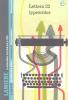 Lamiere. La letteratura tra fabbrica e citt�