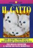 Il gatto