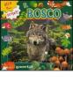 Il bosco