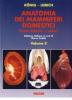Anatomia dei mammiferi domestici