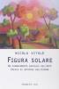 Figura solare. Un rinnovamento radicale dell'arte