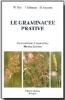 Le graminacee prative