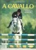 A cavallo. Manuale di tecnica equestre