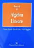 Esercizi di algebra lineare