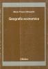 Geografia economica