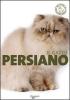 Il gatto persiano
