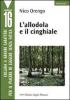 L' allodola e il cinghiale
