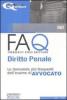FAQ. Diritto penale. Le domande pi� frequenti dell'esame di avvocato