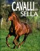 Cavalli da sella