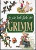Le pi� belle fiabe dei Grimm