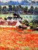 Aspetti di algebra. Ambito generale. Per le Scuole superiori vol.1