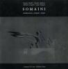 Somaini. Realizzazioni, progetti, utopie