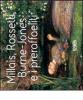 Millais, Rossetti, Burne-Jones e i preraffaelliti