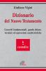 Dizionario del Nuovo Testamento. Concetti fondamentali, parole-chiave, termini ed espressioni caratteristiche vol.2