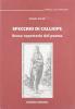 Specchio di Calliope. Breve repertorio del poema