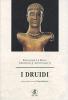 I druidi