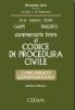 Commentario breve al codice di procedura civile. Complemento giurisprudenziale. Con CD-ROM
