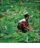 Loro Piana. The Lotus Flower. Il tessuto nascosto nell'acqua