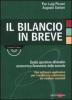 Il bilancio in breve. Guida pratica all'analisi economico-finanziaria delle aziende. Con Software applicativo per l'analisi e la valutazione dei risultati aziendali