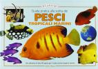 Guida pratica alla scelta dei pesci tropicali marini