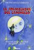 Formichina sul cammello