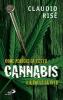 Cannabis. Come perdere la testa e a volte la vita