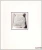 Antonio Trotta. Catalogo della mostra (Milano, 1990)