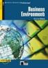 The Business environment
