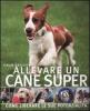 Allevare un cane super