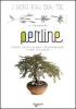 Perline
