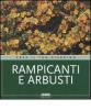 Rampicanti e arbusti