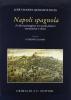 Napoli spagnola. In dieci passeggiate tra strade, palazzi, monumenti e chiese