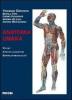 Anatomia umana vol.1