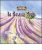 Le colline viola. Margherita. Favole tra gnomi e folletti vol.2