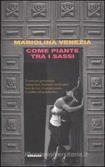 Come piante tra i sassi