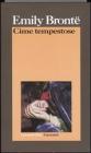 Cime tempestose. eBook