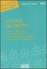 Le fonti del diritto. Il sistema delle fonti e loro interpretazione. Fonti statali, delle autonomie, comunitarie e internazionali. eBook