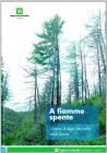 A fiamme spente. Gestire il dopo incendio nelle foreste