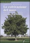 La coltivazione del noce. Nuovi criteri di impianti e gestione del suolo per produzioni di qualit�